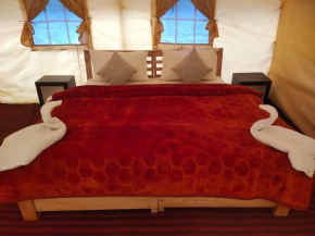 Northern Valley Camp - Nubra